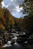 BRF_1530