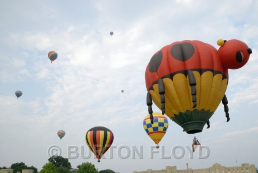 BRF_0142.JPG