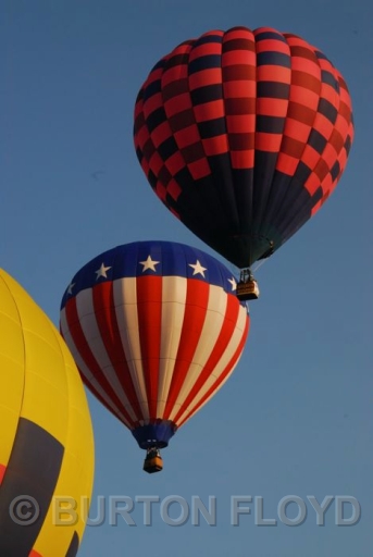 BRF_6758.JPG