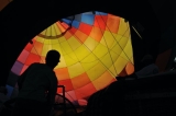 BRF_6019