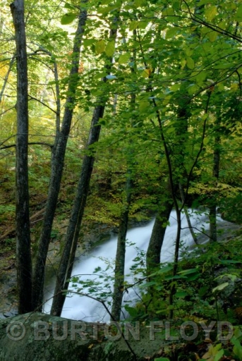 BRF_1383.JPG