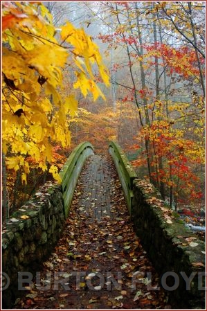 Bridge4.JPG