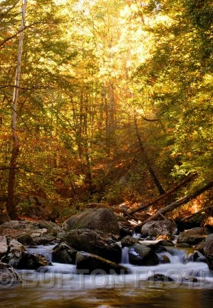 DSC_4436.JPG