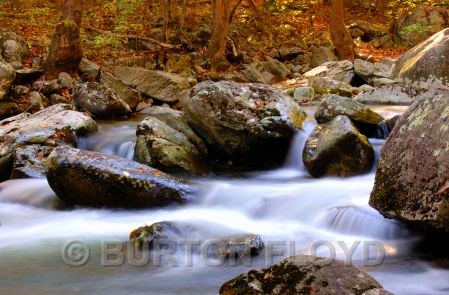 DSC_4449.JPG