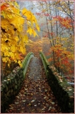 Bridge4