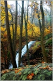 Falls2