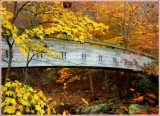 bridge