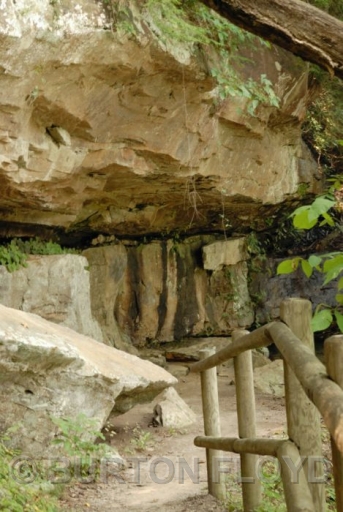 BRF_0708.JPG