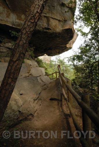 BRF_0716.JPG