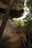BRF_0716