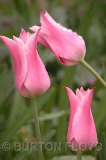 DSCN0714.JPG