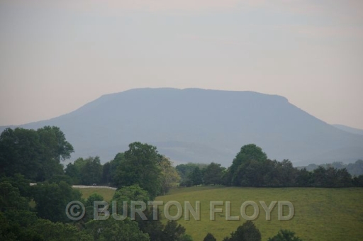 BD3_0019.JPG