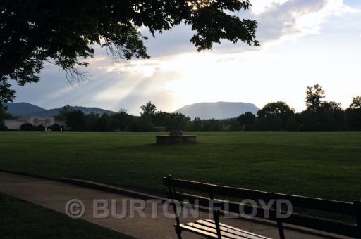 BD3_0223.JPG