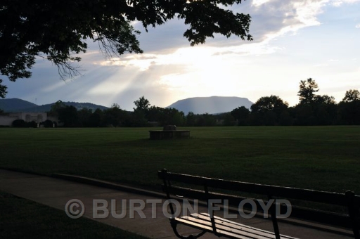 BD3_0225.JPG