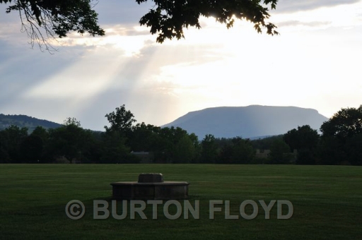 BD3_0226.JPG