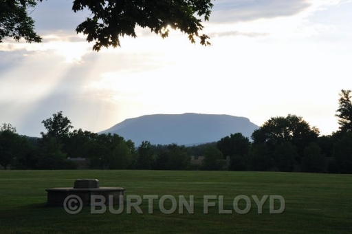 BD3_0227.JPG