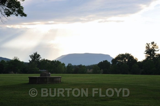 BD3_0229.JPG