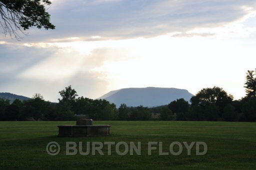 BD3_0230.JPG