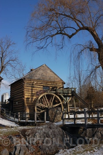 DSC_2305.JPG