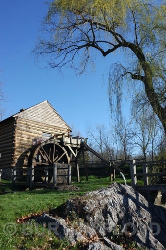 DSC_2466.JPG