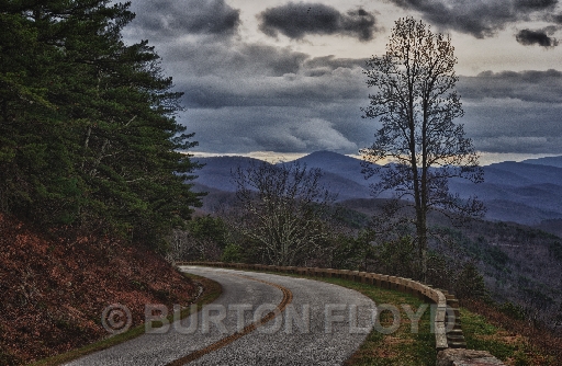 BRF_8395_HDR.jpg