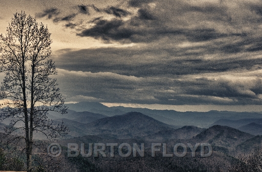 BRF_8447_HDR.jpg