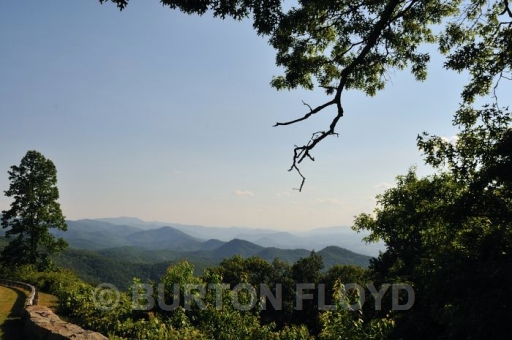 BD3_0428.JPG