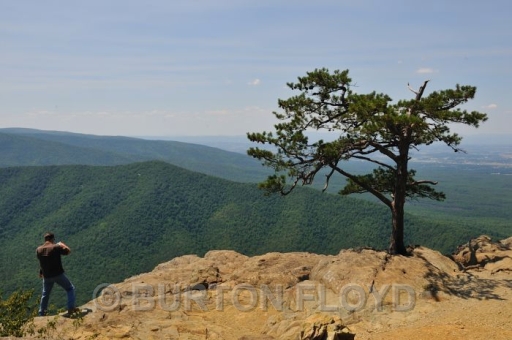 BD3_0651.JPG