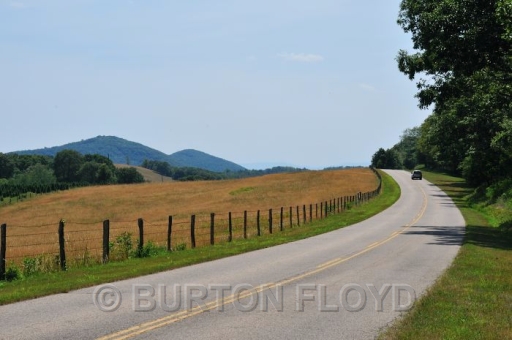 BD3_0671.JPG