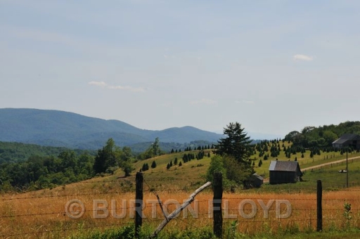 BD3_0678.JPG