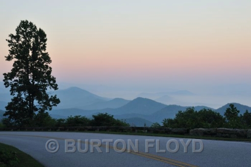 BD3_1685.JPG
