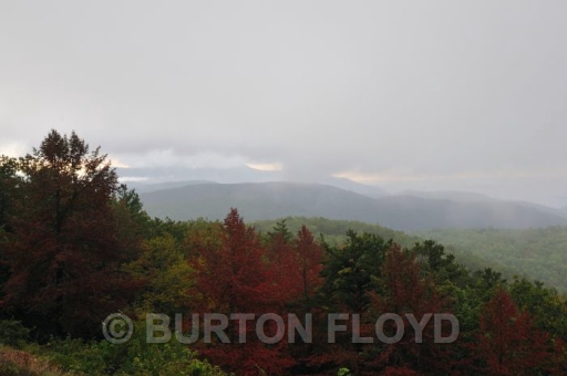 BD3_1708.JPG