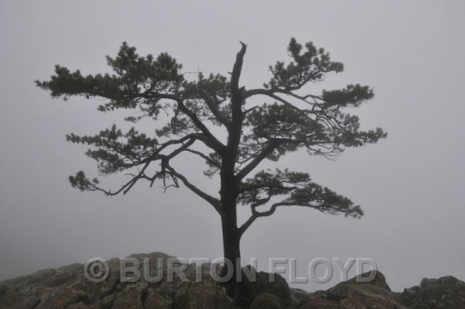 BD3_1726.JPG