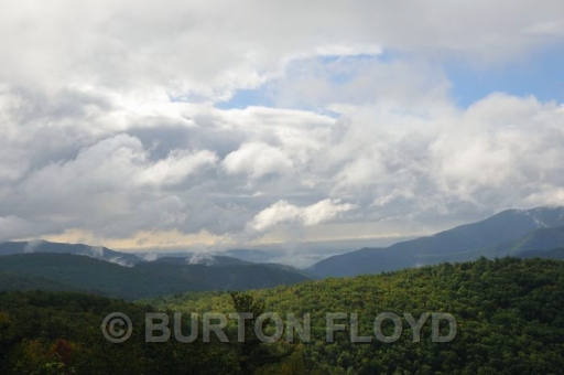 BD3_1767.JPG