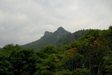BRF_3647
