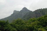 BRF_3650