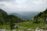 BRF_3711
