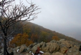 BRF_5224