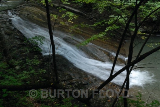 BRF_0850.JPG