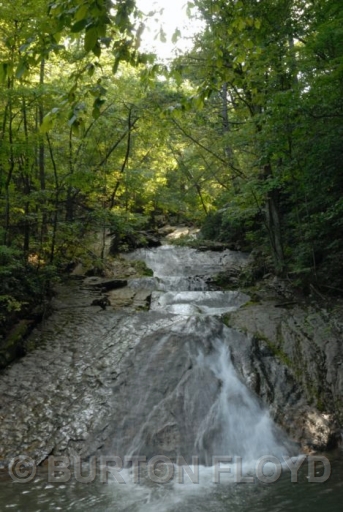 BRF_0887.JPG
