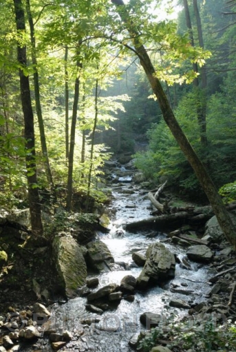 BRF_0907.JPG