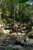 BRF_0898