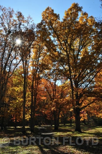 BD3_2853.JPG