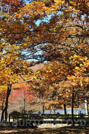 BD3_2855.JPG