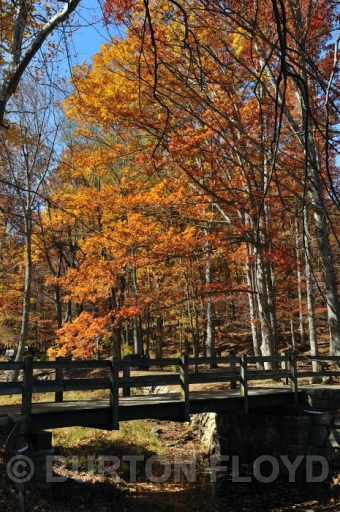 BD3_2861.JPG