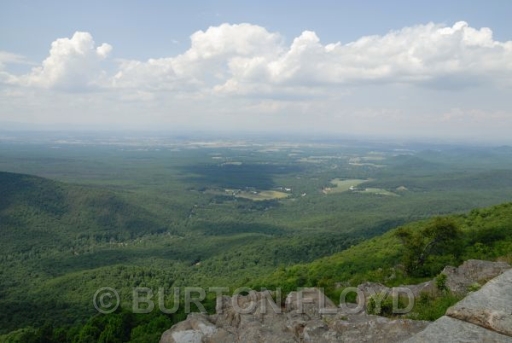BRF_0020.JPG