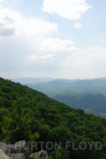 BRF_0021.JPG