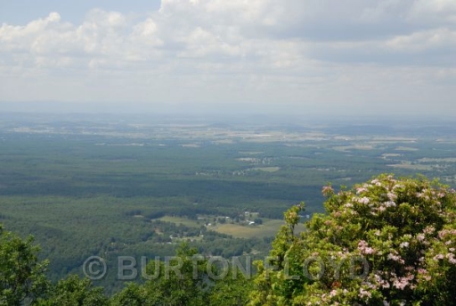 BRF_0034.JPG