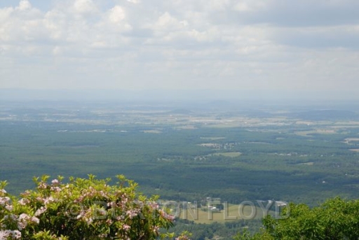 BRF_0037.JPG