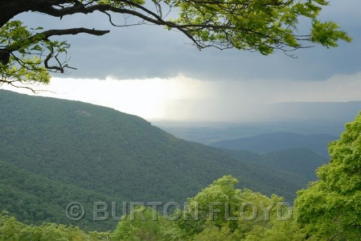 BRF_0051.JPG